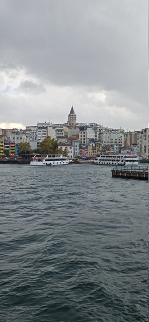 IMG 20261002 162425.jpg