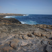 DSC00978