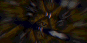 banner-3.gif