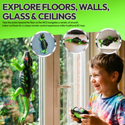 WC2 LS Image 04