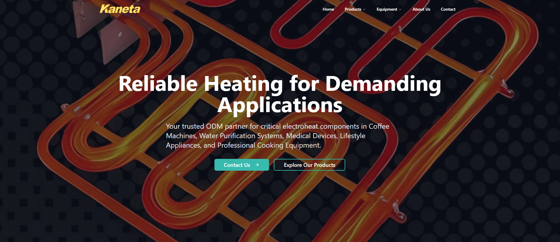 Screenshot of kaneta.com