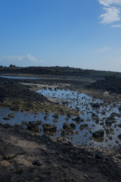 DSCF8672.jpg