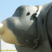 IMG-3484