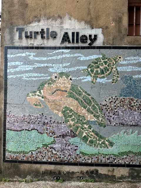 Turtle Alley54.webp