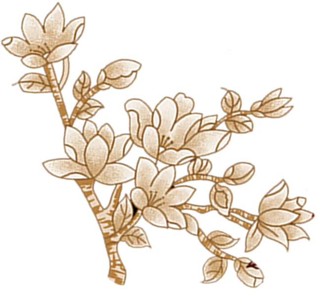 Layer 26 (1).png