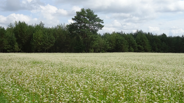 DSC02440.jpg