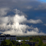 IMGP0618