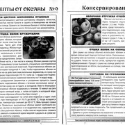 Рецепты от Оксаны, CВ - "Консервирование" № 113 (9) Рецепты от Оксаны, CВ - "Консервирование" № 113 (9)