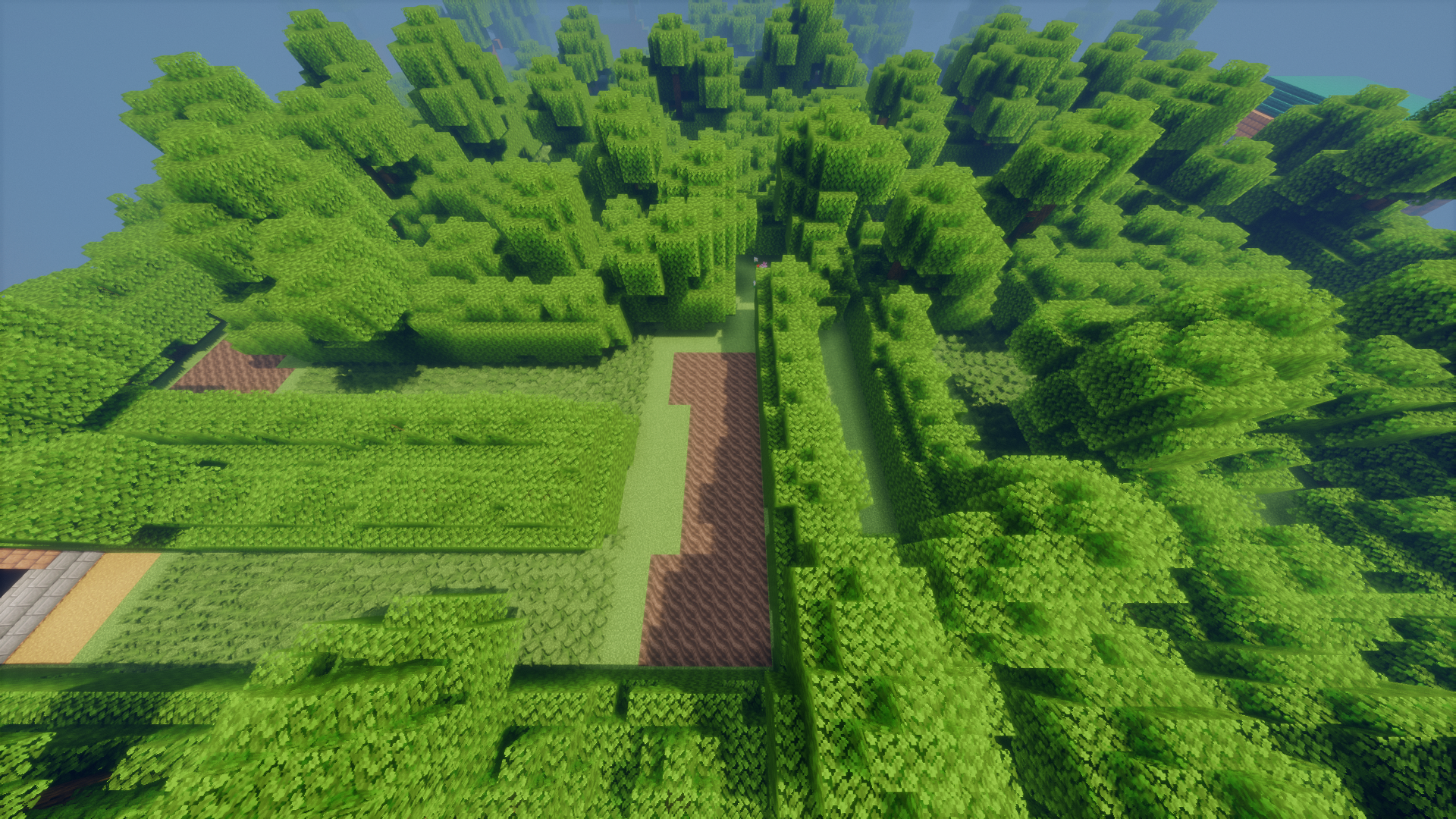 Viridian Forest