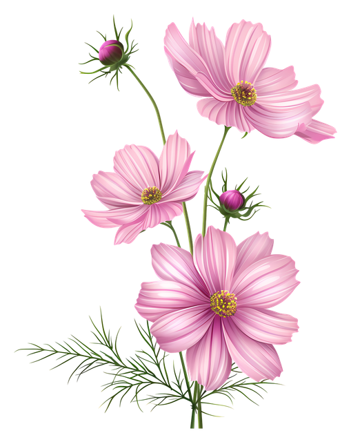 871b3cb0affb59acc9bec54ee4aa908f.png