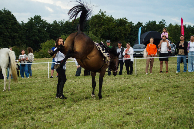 DSC05774.jpg