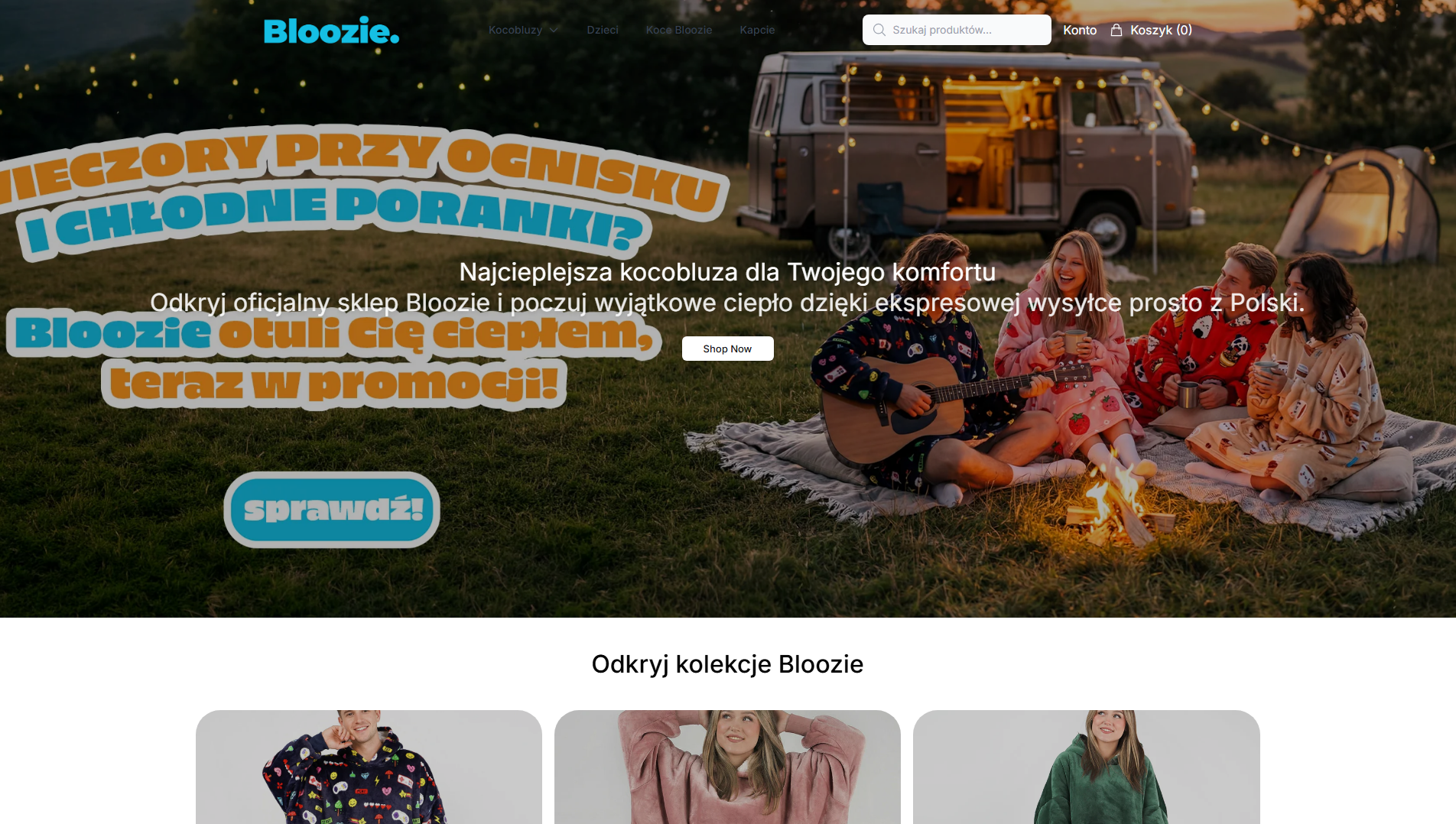 Primary capture · blooziestore.shop