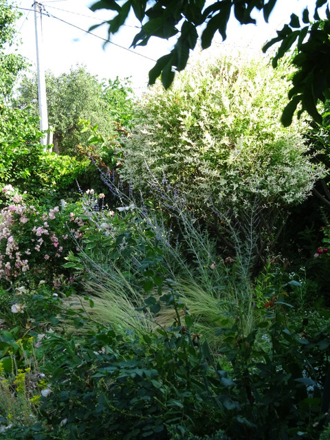 DSC02113