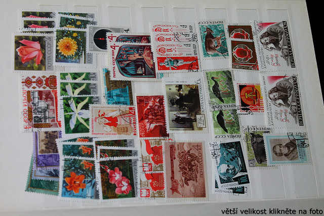 IMG-3032.jpg
