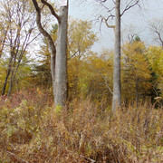 DSC03774