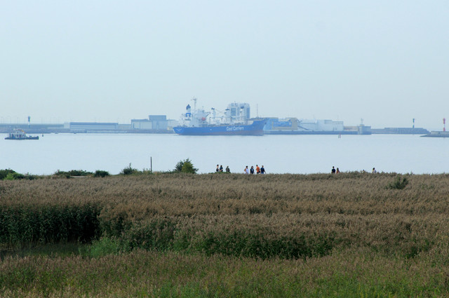 IMG-1806