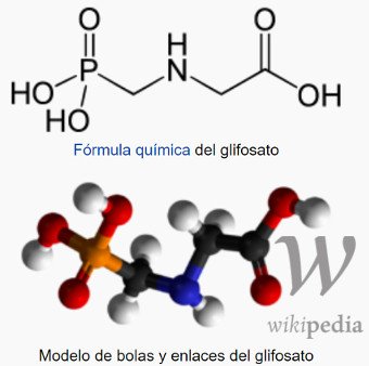 Molécule de glyphosate Molécule de glyphosate (N-phosphonométhylglycine)