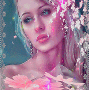 11.gif