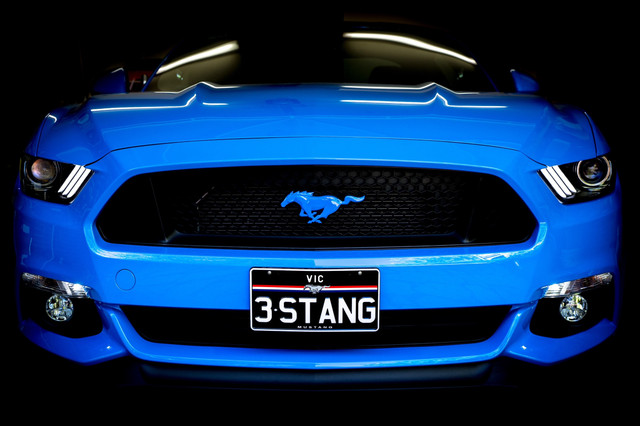 Stang-1
