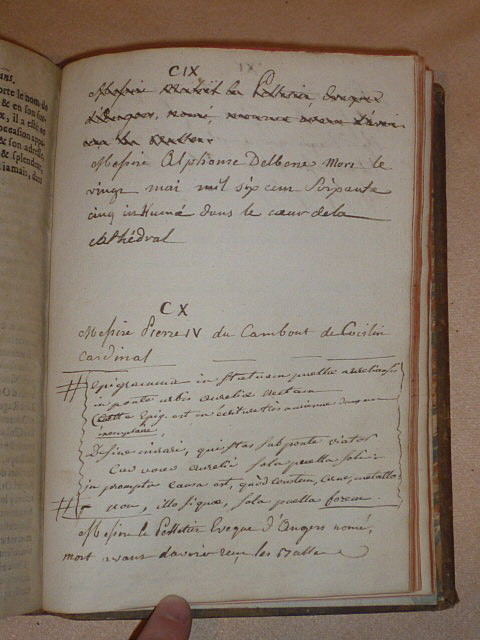 P1230781.jpg