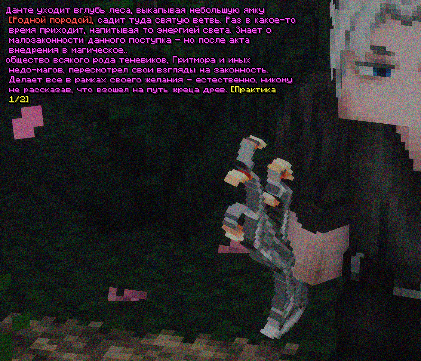 SS4.png