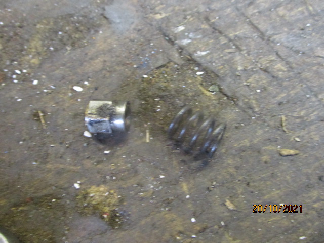 IMG-8824.jpg