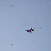 DSC00875