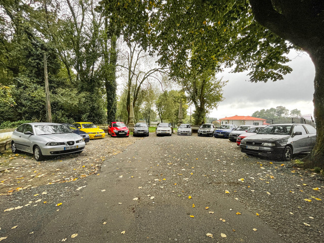 IMG-5355.jpg