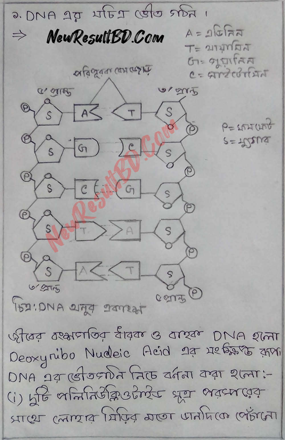 HSC Biology 5th Week Assignment 2022 Answer