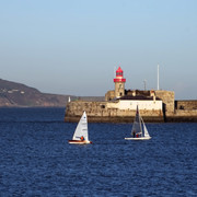 IMGP6876