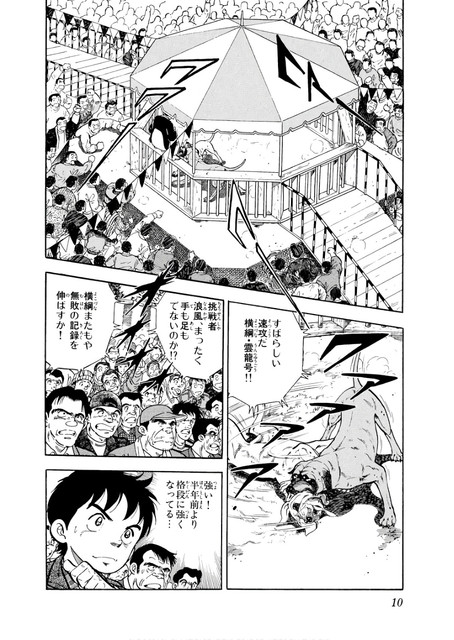 DLRAW-NET-0010