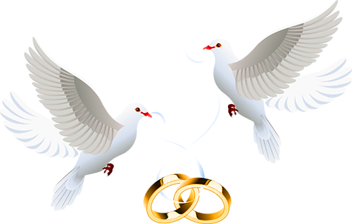 palomas1.png