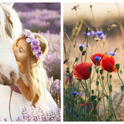 Be-Funky-collage-8