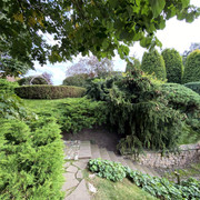 IMG-0729