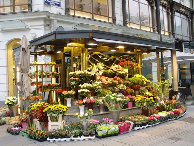 Shop