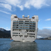 IMG-1125