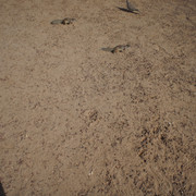 DSC01036