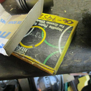 IMG-0491