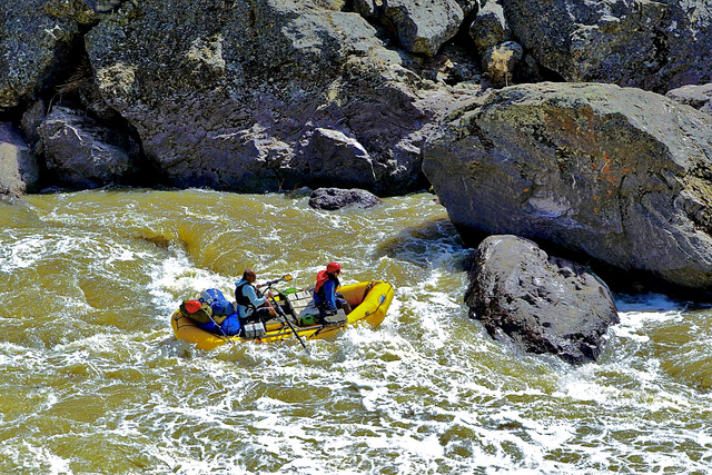 DSC01654