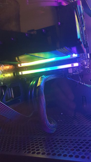 ram