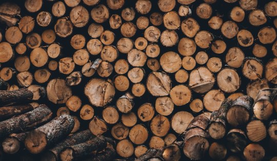 tumblr-694ca05d23c40a4018d4389fba9fa194-3cb1b20c-540