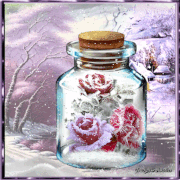 11.gif