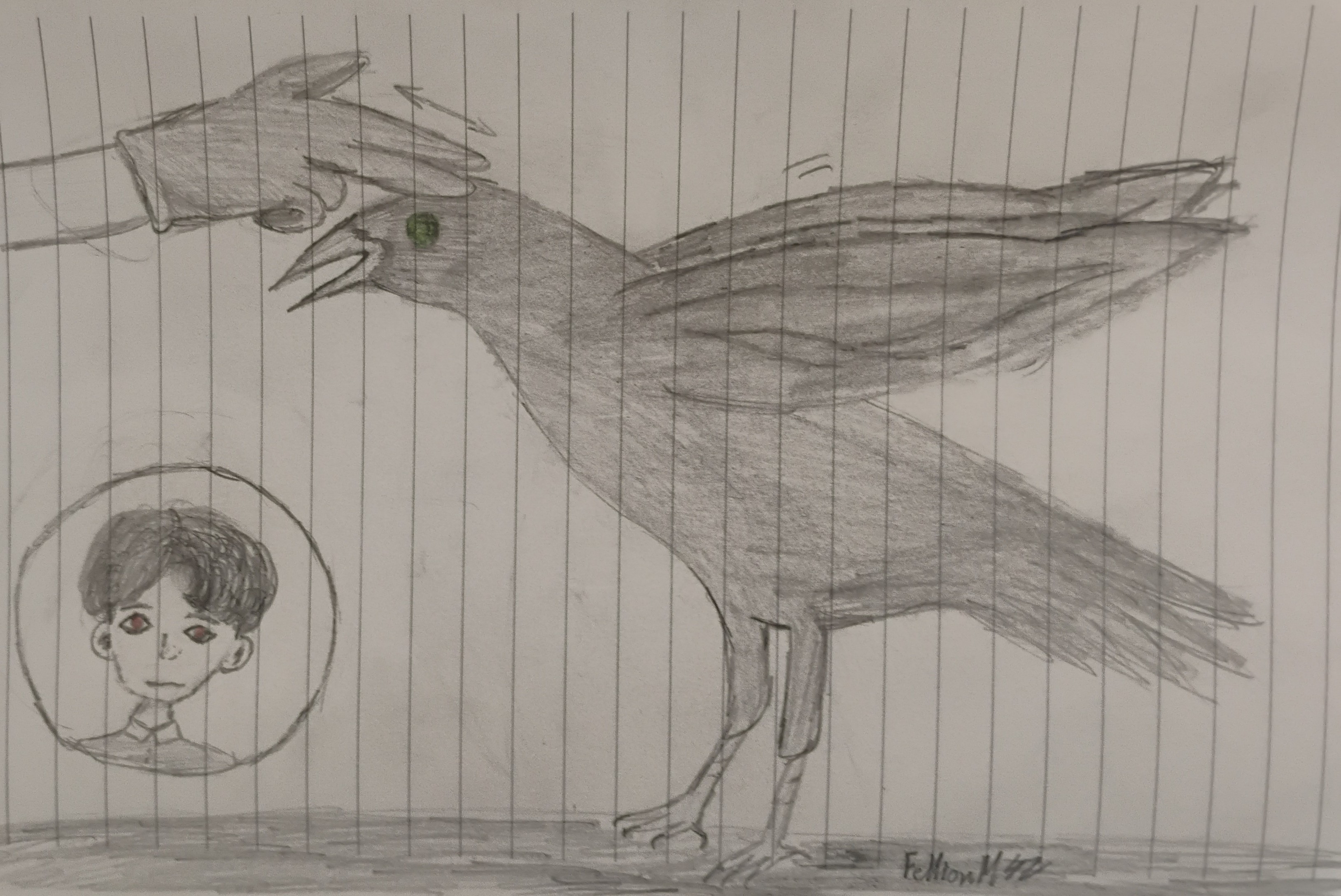 Crow Animagus Harry Potter and Tom Riddle