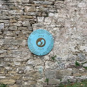IMG-9482