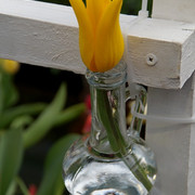 DSC01392