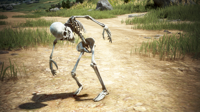 Skeleton