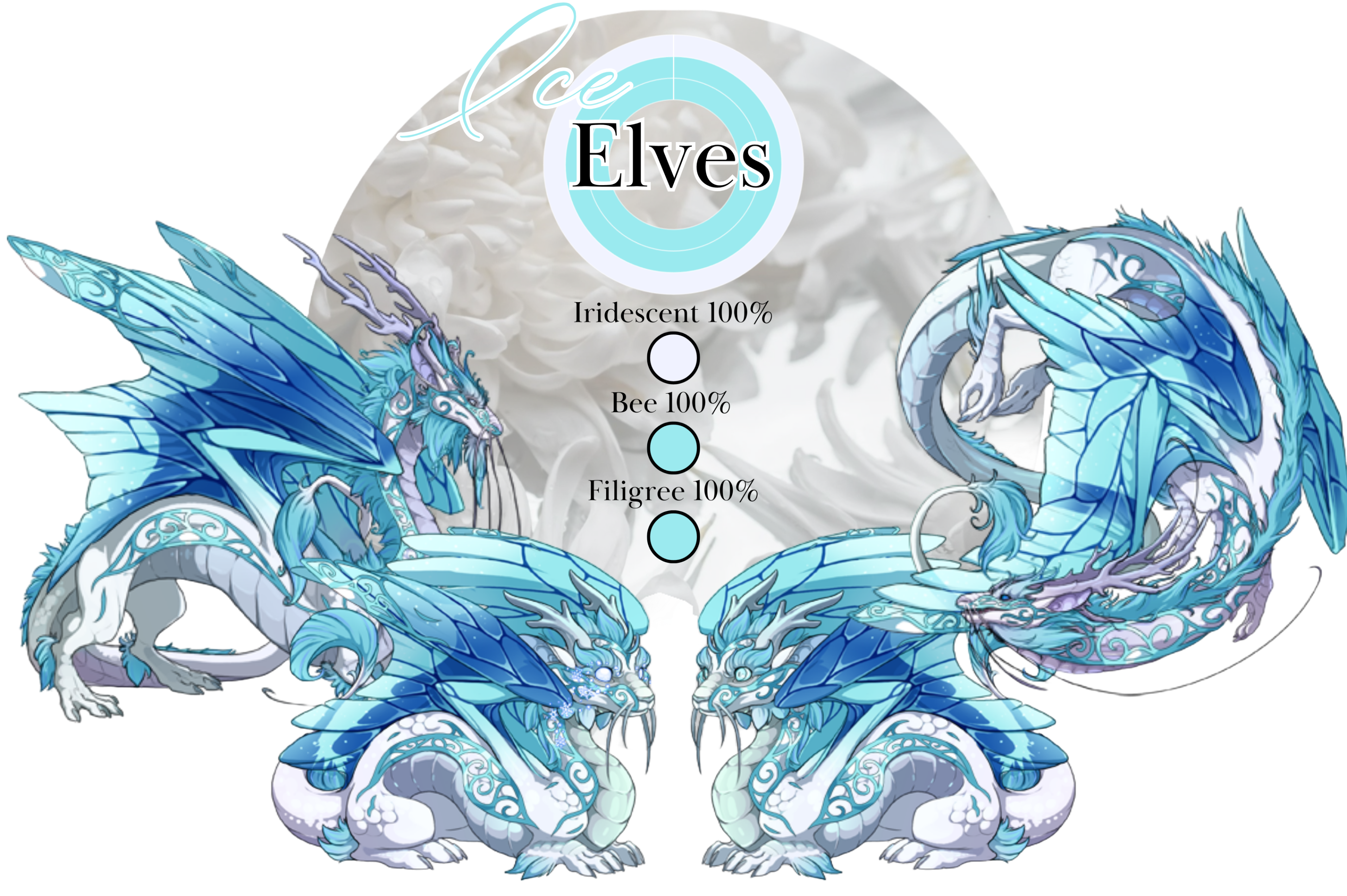 file-27.png