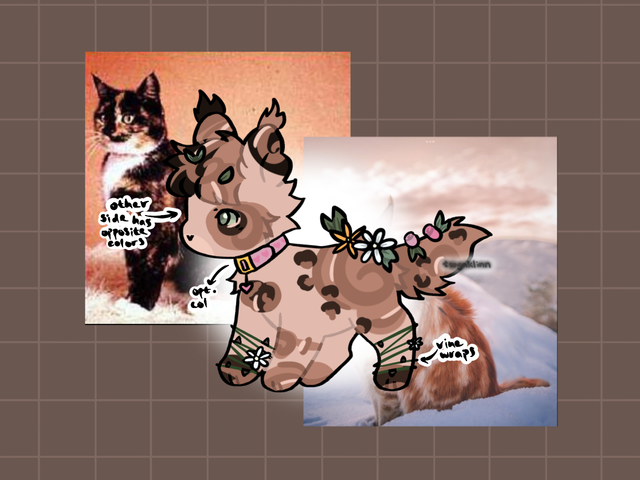 complex-custom-comm-for-rue