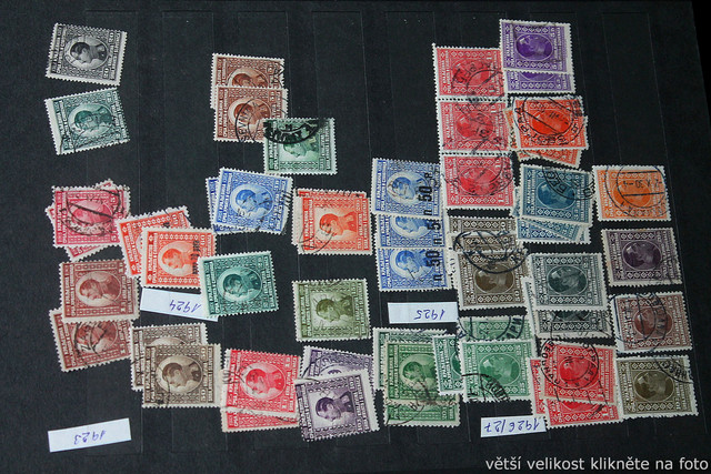 IMG-6985.jpg