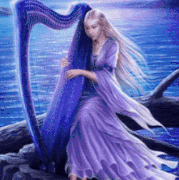 7.gif